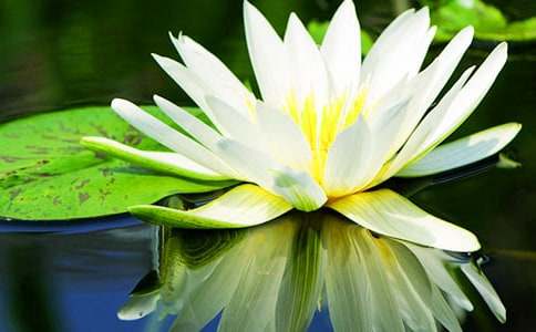 ˯���Ļ�����ʲô����