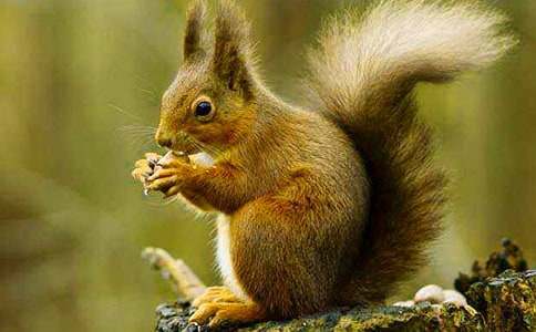 С����ͯ����������