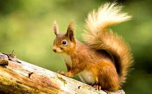 С�����һ����̰�