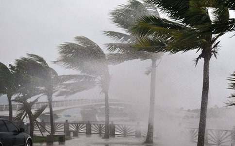 ��ʵ�á�̨��֪ͨ4ƪ