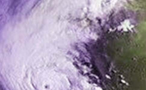 台风来了作文【精选15篇】