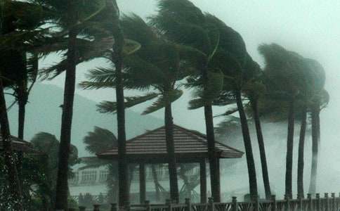 ̨��֪ͨ����