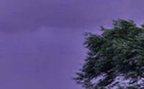 关于防台风通知汇编十篇