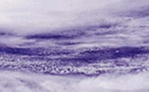 台风来了作文15篇(精华)