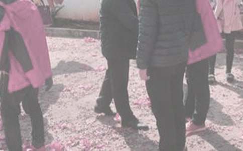 ����̽�������