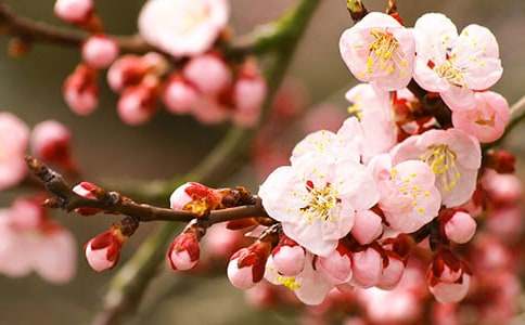 ���һ��Ļ�����ʲô����