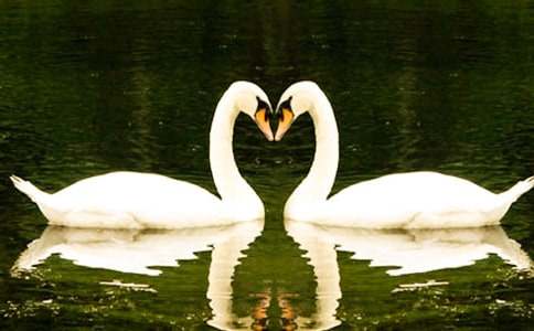 �����Ĺ��¡��̰��ϼ�10ƪ