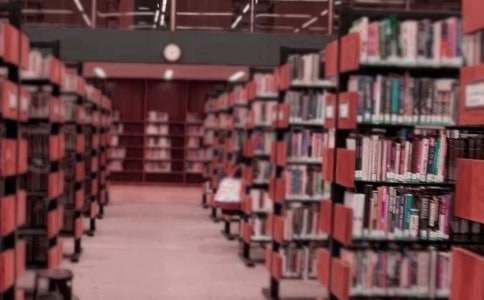 ͼ���ҹ����ܽᣨ��ѡ20ƪ��