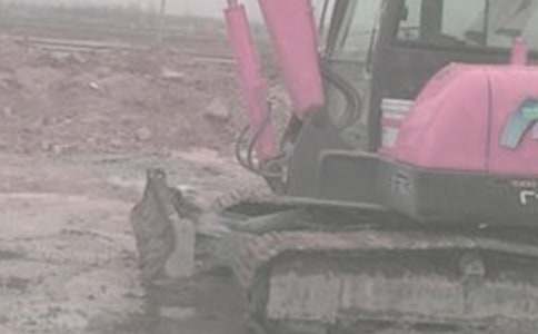 挖掘机股份协议书12篇