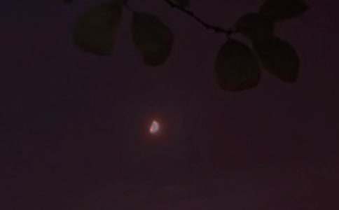 温暖的晚安问候语语录48句