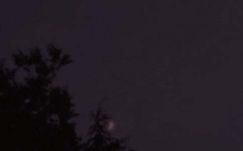 治愈系晚安问候语短信大汇总66条