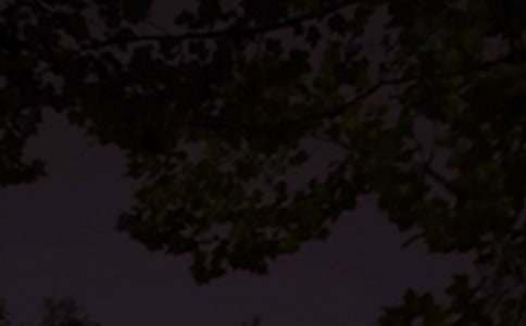 ������ܰ��������45��