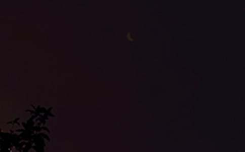 2025������ϵ�����ʺ�����¼�ϼ�48��