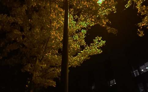 2026�����õ�����΢���ʺ��Ｏ��71��