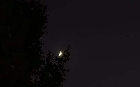 经典温暖的晚安朋友圈问候语集合79条