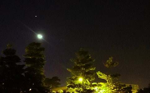 �������õ������ʺ���54��