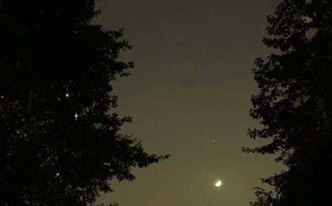 ��������������ף�������135�侫ѡ