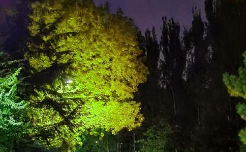 实用的温暖的晚安问候语语录大集合79条