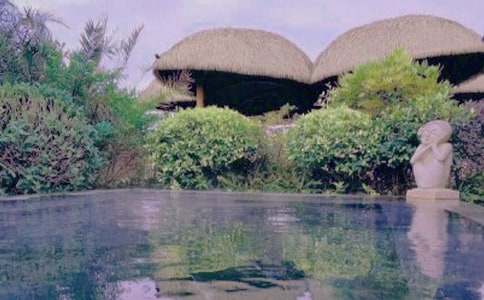 (����)����Ȫ����