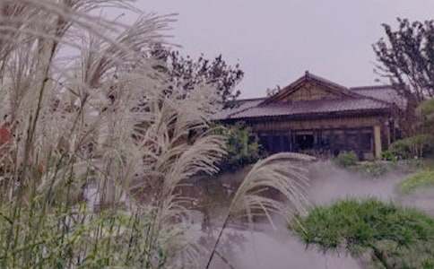 ��Ȫ֮��Сѧ����4ƪ