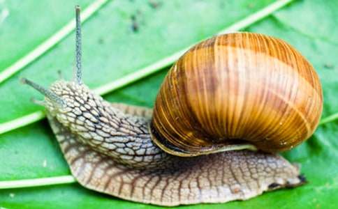 ��ţ��������(����14ƪ)