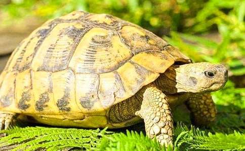 ���������ڹ꡷�̰�15ƪ