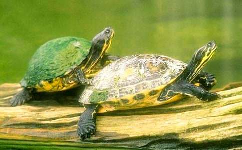 �����ڹ�����