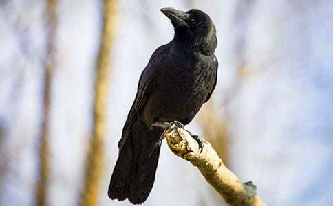 ����ѻ��ˮ����д����