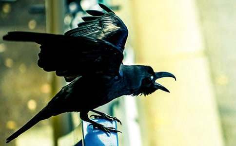 ����ѡ������ѻ��ˮ���̰�