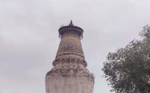 ��̨ɽ���δʣ���ѡ12ƪ��