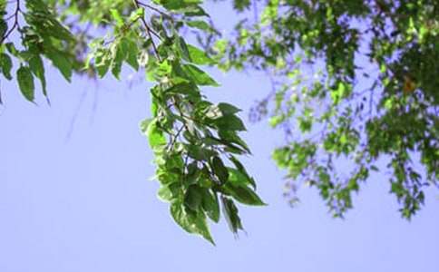 ����ů���簲ף���ͨ��40�䣩