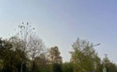 2026年温暖的午安QQ问候语集合74句