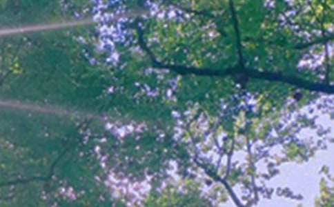 ��ܰ���簲΢���ʺ������72��