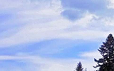 �����簲�ʺ������60��