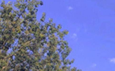 2026����ů���簲�ʺ�����Ż��62��