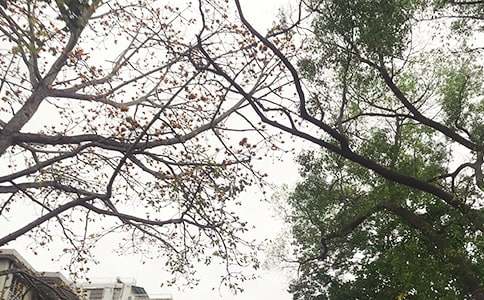 2026���簲�ʺ�����ż���91��