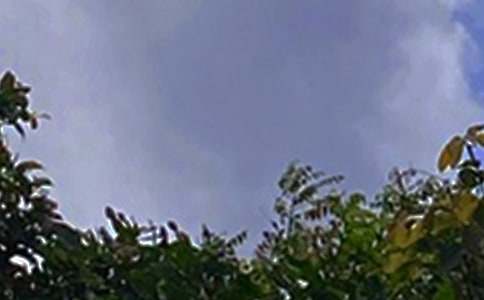 ����ϵ�簲QQ�ʺ�����43��