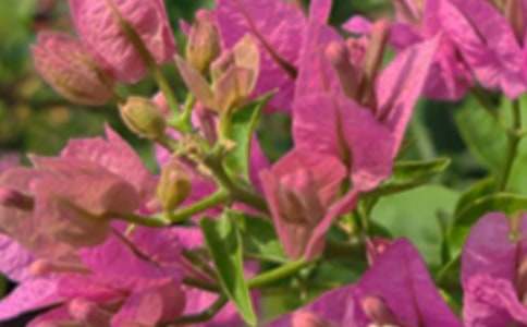 2026年唯美的午安问候语短信合集34条