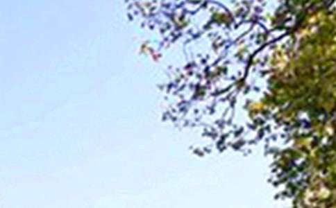 2026年午安问候语68句