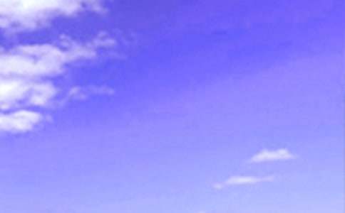 ů���簲ף����100�侫ѡ