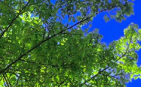 2026������ϵ�簲QQ�ʺ������56��