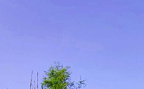 关于暖心午安祝福语大全(通用90句)