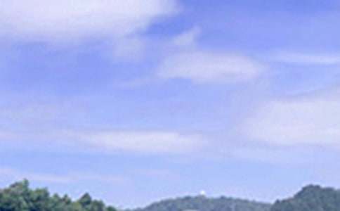 2026�����õ��簲�ʺ���29��