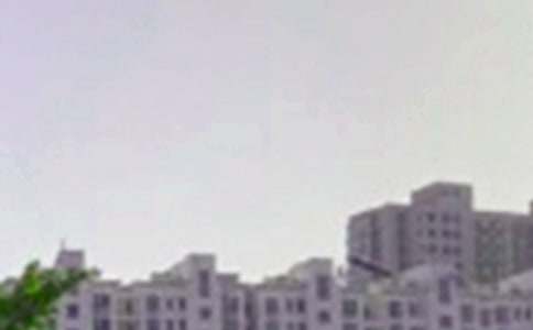 Ψ�����簲�ʺ������ժ¼83��