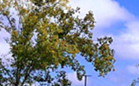 2026����ܰ���簲�ʺ�����Ŵ�ϼ�53��