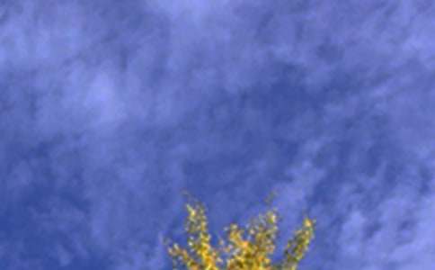 ����ů���簲ף�����ȫ��ͨ��100�䣩