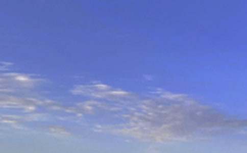 温暖的午安问候语大汇总93条