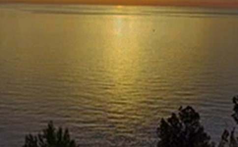 治愈系午安微信问候语集合79条