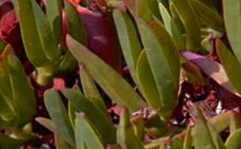 ����ů���簲ף�����ȫ����ѡ80�䣩