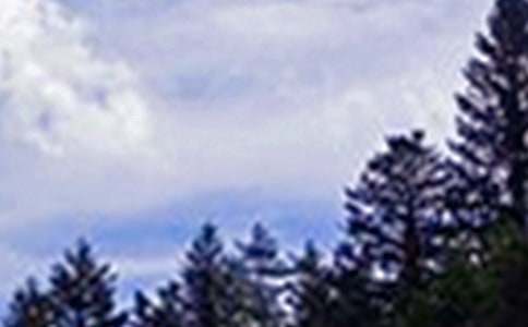 ����ů���簲ף����80��